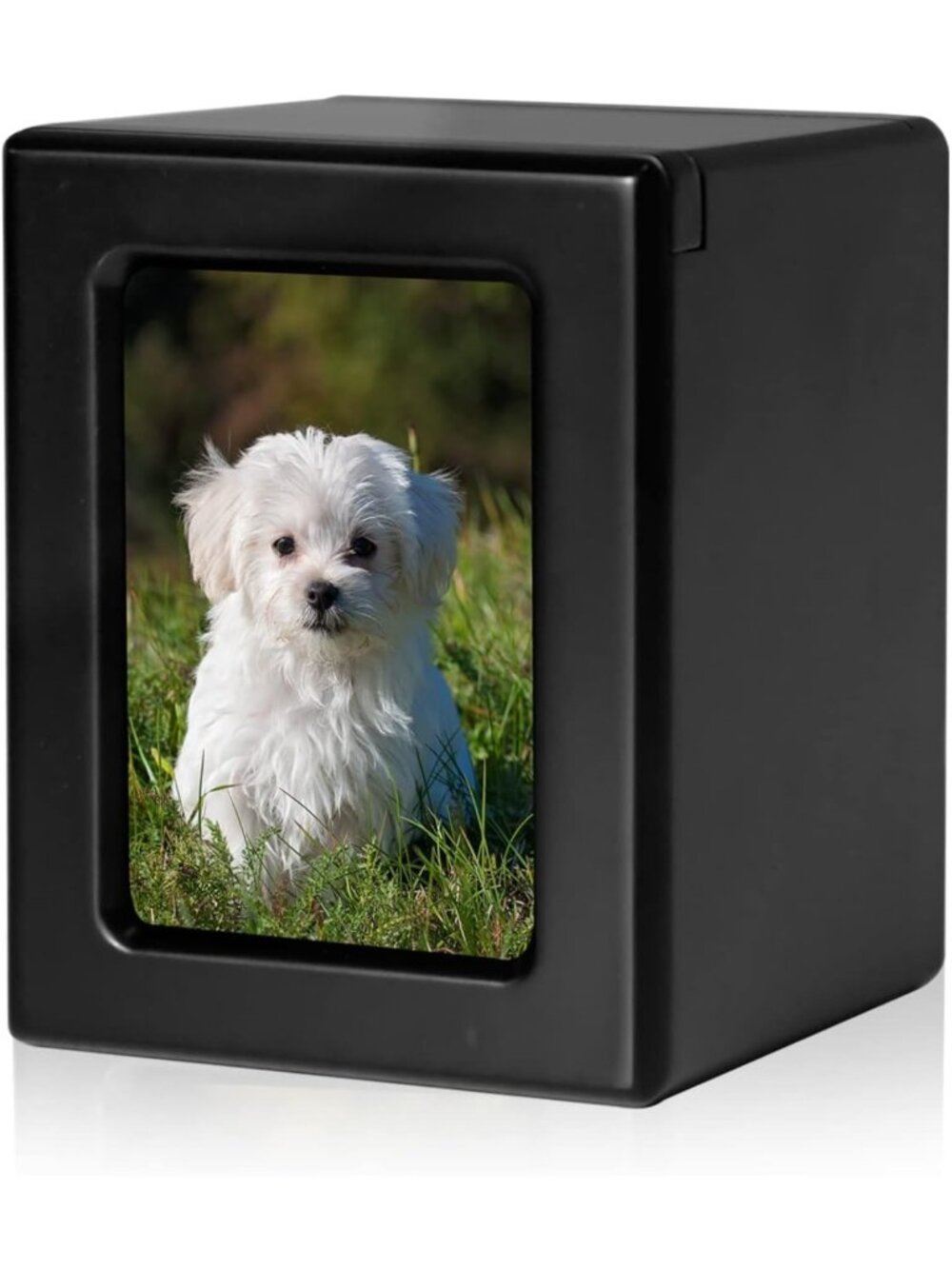 Elegant Black Wooden Dog Ashes Urn with Photo Frame, Small Size for Pets